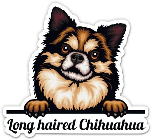 Uzun Saçlı Chihuahua Çıkartmaları - 2 Paket 3 Çıkartmalar - Araba, Telefon, Su Şişesi, Dizüstü Bilgisayar için Su
