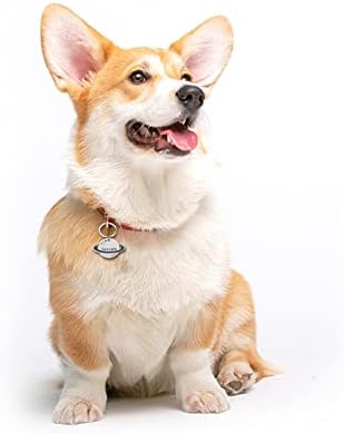 Saturn Pet Köpekler Aksesuarları Özelleştirilmiş köpek tasması Etiketi Kediler Kolye KIMLIK Etiketleri Anti-Kayıp
