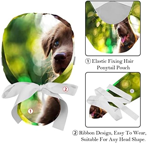 HomeDecorZone Erkek ve Kadınlar için Düğmeli çalışma Kapağı, 6 Adet Koyu Yeşil Mercan Denizyıldızı Kabuklu Şapkalar