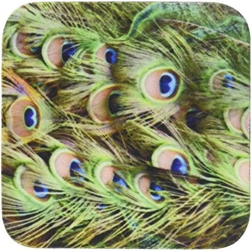 3dRose Tavuskuşu Kuyruk Tüyleri Gözler-Seramik Karo Bardak Altlığı, 4'lü Set (CST_156169_3)