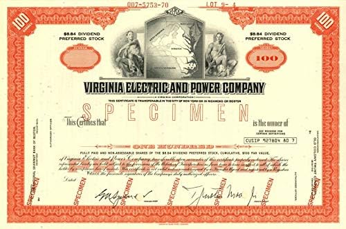 Virginia Elektrik ve Elektrik A. Ş. - Stok Sertifikası
