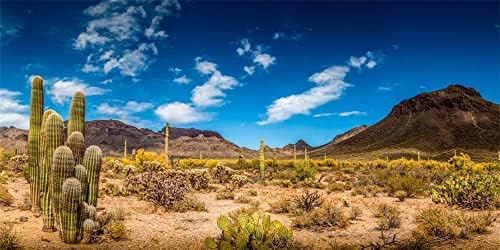 Yeele 20x10ft Çöl Doğa Manzara Fotoğrafçılığı Arka Plan Dağ Saguaro Kaktüs Bitkileri Fotoğraf Arka Planında Kız Erkek