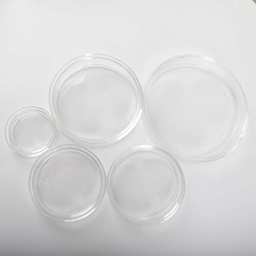 ADAMAS-BETA 3.3 Borosilikat Cam Kültürü Petri Tabağı Petri Tabaklar, 150mm ODm, 6'lı paket