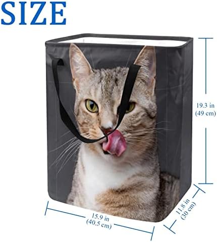 Kedi Yapışmasını Dil Dışarı Baskı Katlanabilir Çamaşır Sepeti, 60L Su Geçirmez çamaşır sepetleri Çamaşır Kutusu Giysi